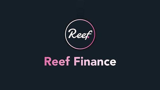 REEF币发行价格多少？REEF币发行价格和发行时间介绍