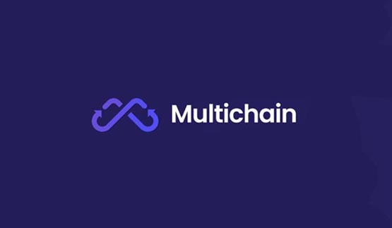 Multichain代币是哪个？一文了解Multichain代币MULTI