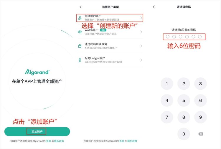 Algorand官方钱包使用指南,Algorand钱包常见问题及解决方法